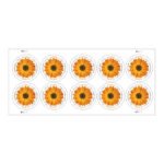 Global: African Daisy Stamps 2022