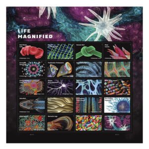 Life Magnified Stamps 2023