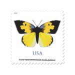 California Dogface Butterfly Stamp 2019