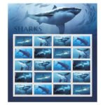 Sharks Forever Stamps 2017